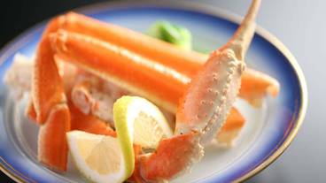 食事・飲み物 / 6