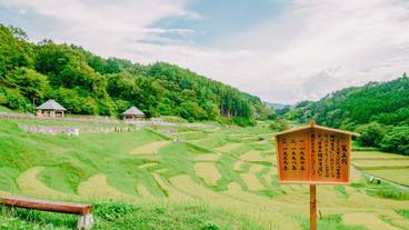 ランド ビュー / 17