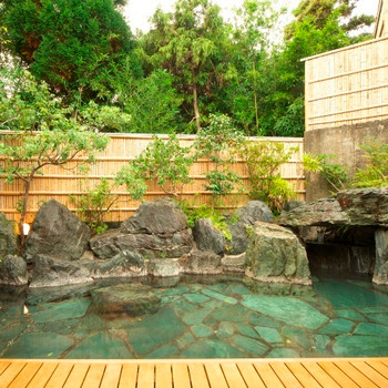 雄大な日本庭園と温泉を満喫3976592