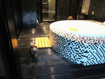 まさに「大人の隠れ家」。露天風呂付き客室で過ごす贅沢時間3424160