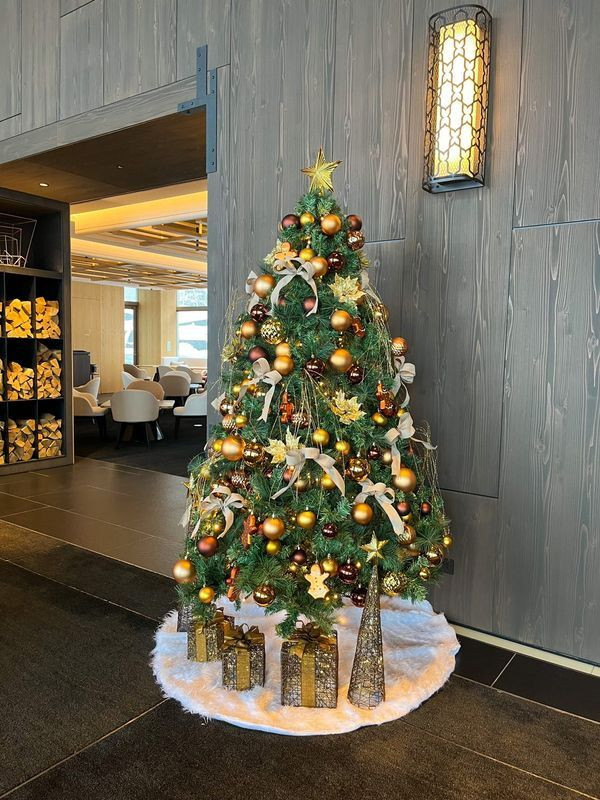 kana_noisyさんの写真 / 1