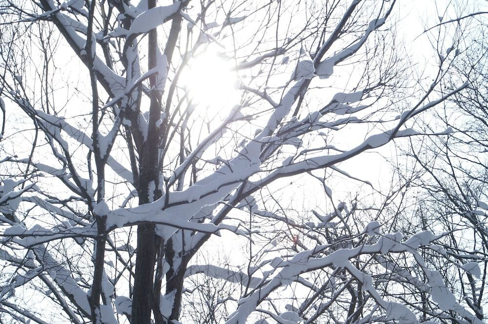 施設からの眺望
