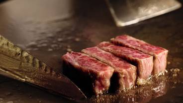 食事・飲み物 / 11