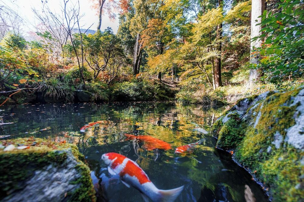 庭園