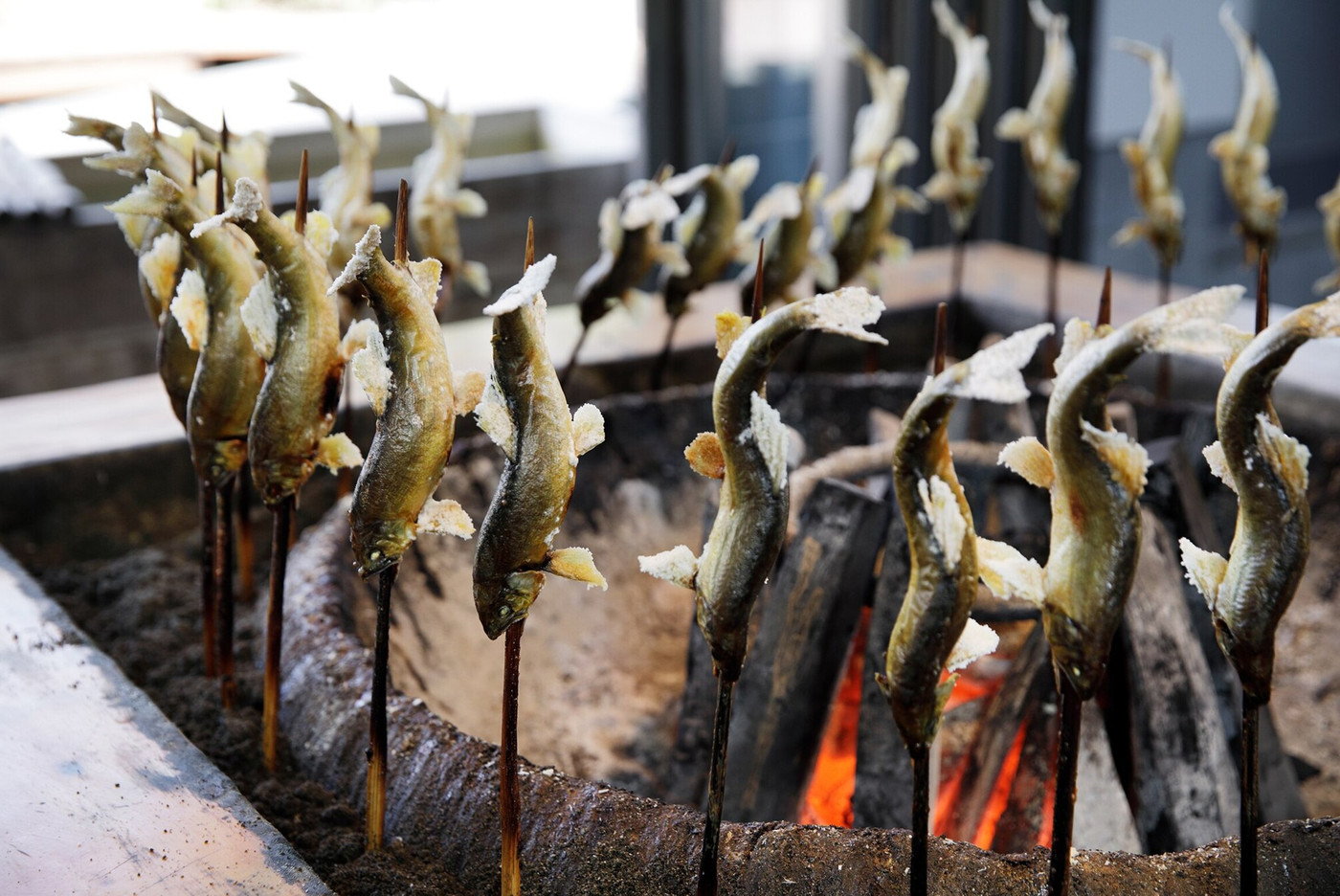 郡上の魅力が詰まった道の駅「古今伝授の里やまと」3743770