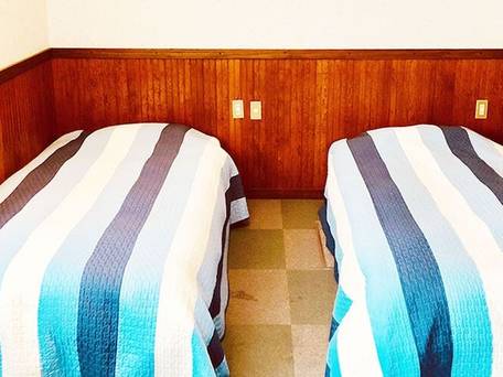 アースカラー / 4