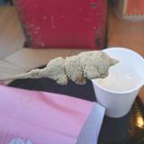 浅草きびだんご　あづま（アサクサキビダンゴアヅマ）