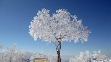 スノー スポーツとスキー / 3