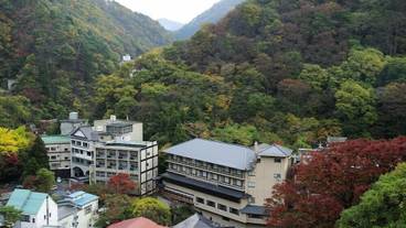 マウンテン ビュー / 15