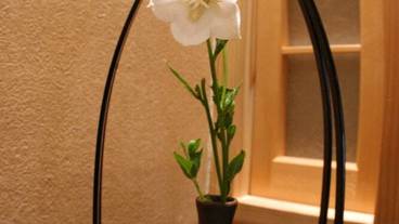 内装の詳細 / 24