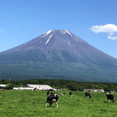 朝霧高原の風景 / 1