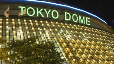 観光スポット / 23