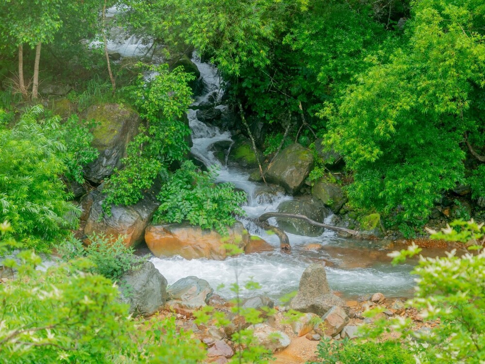 施設からの眺望