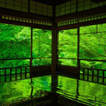 【京都】初夏の京都旅は、新緑まぶしい「青もみじ」で決まり！名所7選
