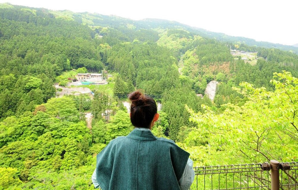 「祖谷のかずら橋」など観光地から徒歩圏内で便利♪3524634