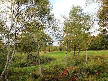 奥志賀高原シャレークリスチャニア / 4