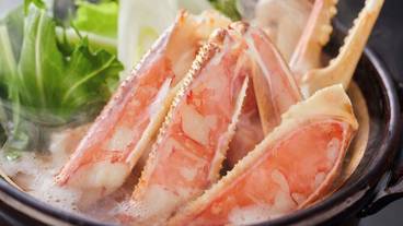 食事・飲み物 / 11