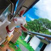 屋久島 民宿すぎのこ（鹿児島県 民宿） / 3