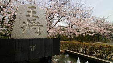 観光スポット / 21