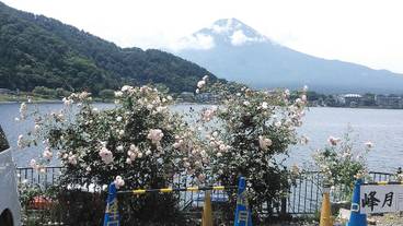 施設からの眺望 / 2