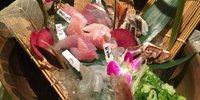 西院で一杯ならココ！美味しいお酒や料理がいただける居酒屋7選