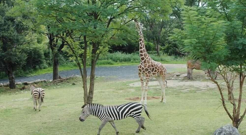 ランド ビュー