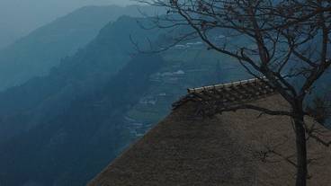 マウンテン ビュー / 7