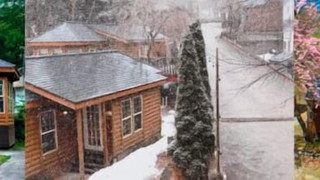 キャビン 禁煙 (A)