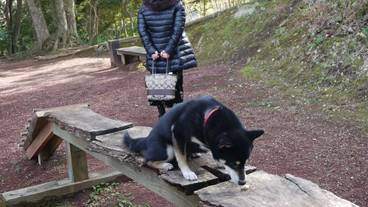 ペット同伴可 / 2