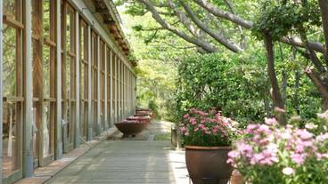 施設の敷地 / 15