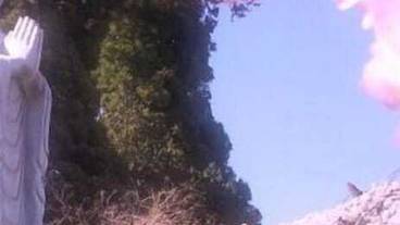 施設の敷地 / 20