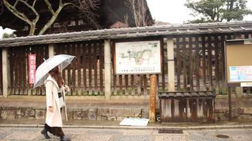 ランド ビュー / 16