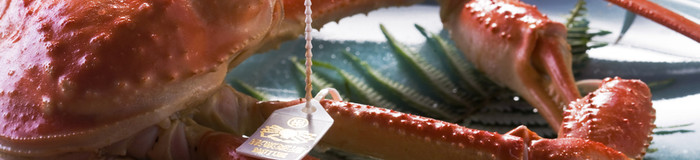 【富山】カニ料理が自慢の旅館10選!絶品ズワイガニと温泉にほっこり♡