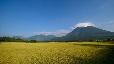 施設からの眺望 / 6