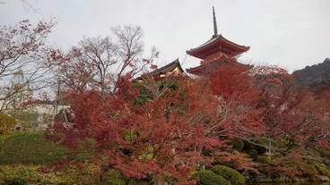 観光スポット / 5