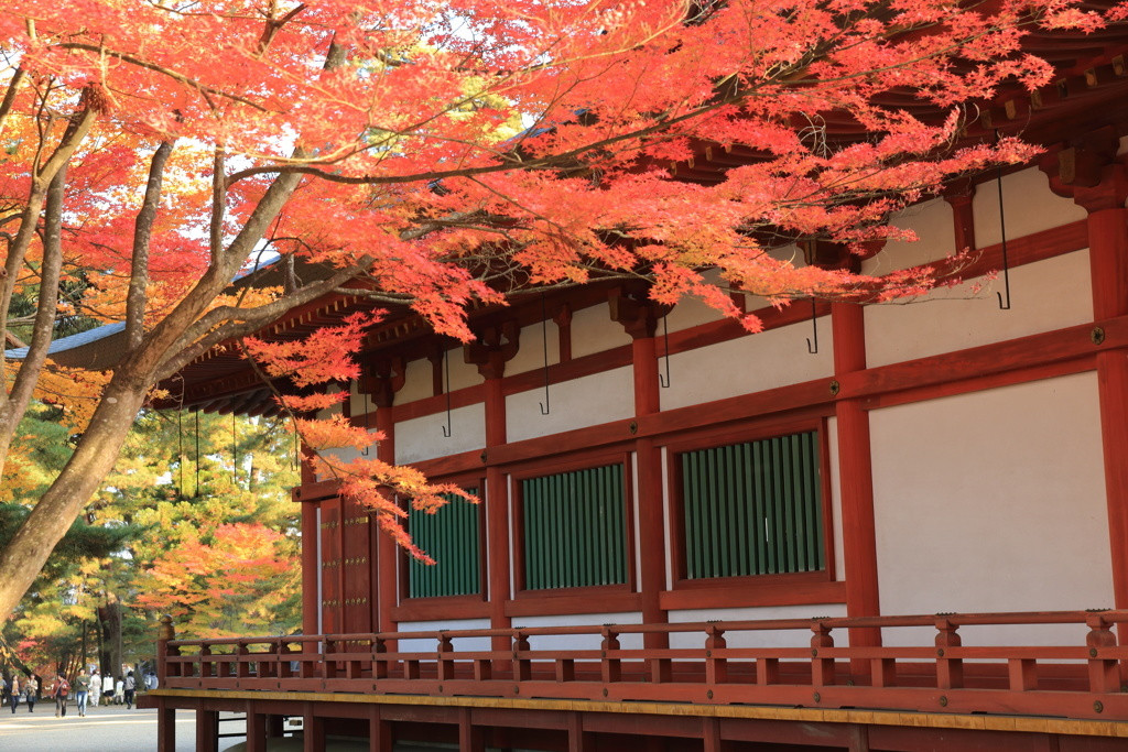 健康長寿のご利益あり？「毛越寺」4083650