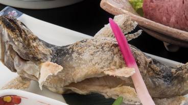 食事・飲み物 / 11