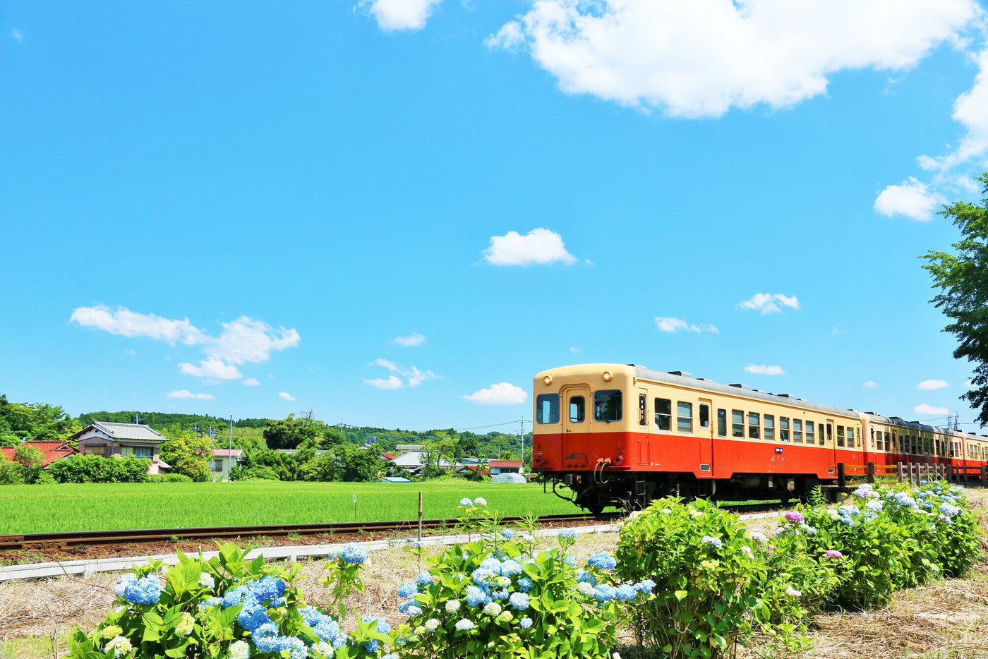 千葉県 夏の青空と小湊鉄道