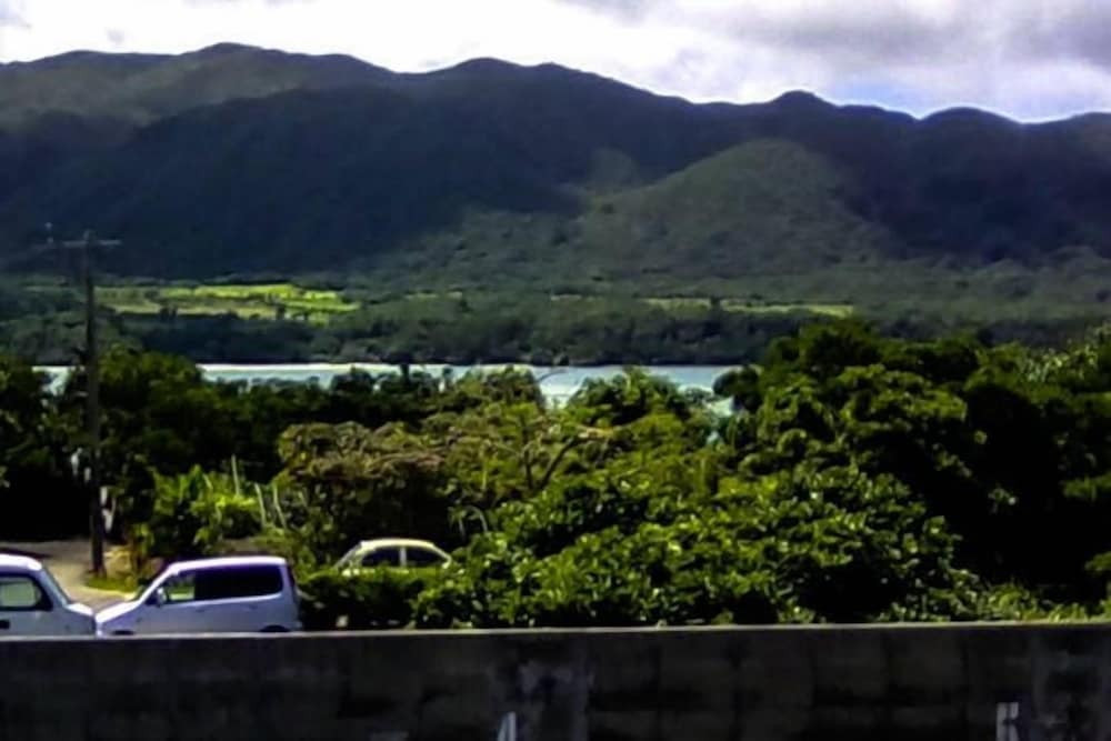 マウンテン ビュー