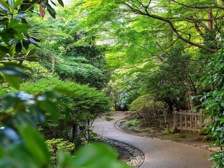 シェラトン都ホテル東京 / 2