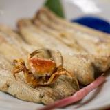 うなぎ亭 友栄(ウナギテイトモエイ)