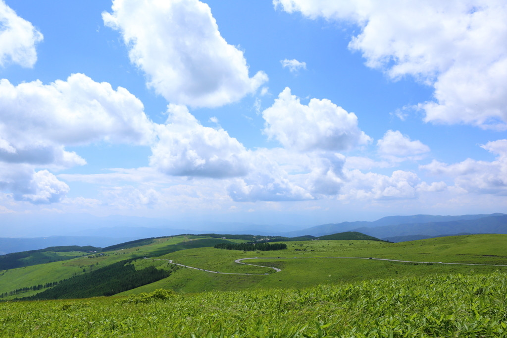 夏は高原で暑さなんか忘れよう！680882