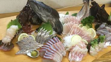 食事・飲み物 / 1