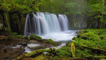 観光スポット / 6