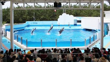 観光スポット / 7