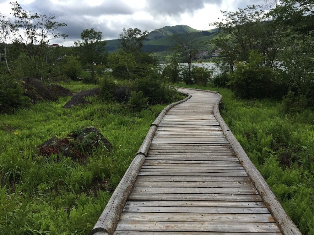 施設からの眺望