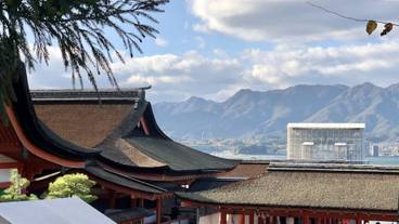 ランド ビュー / 29