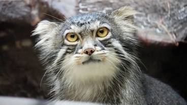 観光スポット / 16