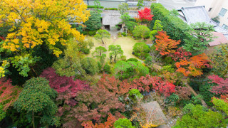 和室12畳＋5畳　禁煙