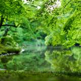 京都府立植物園 / 1